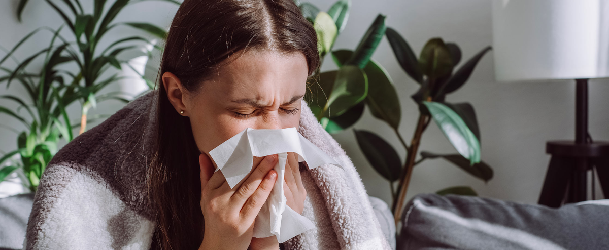 Nariz tapada: 10 soluciones naturales para respirar libremente