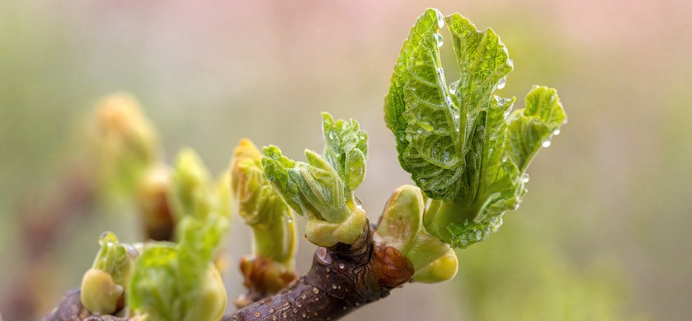Cortisol alto: reconocer los síntomas y actuar de forma natural