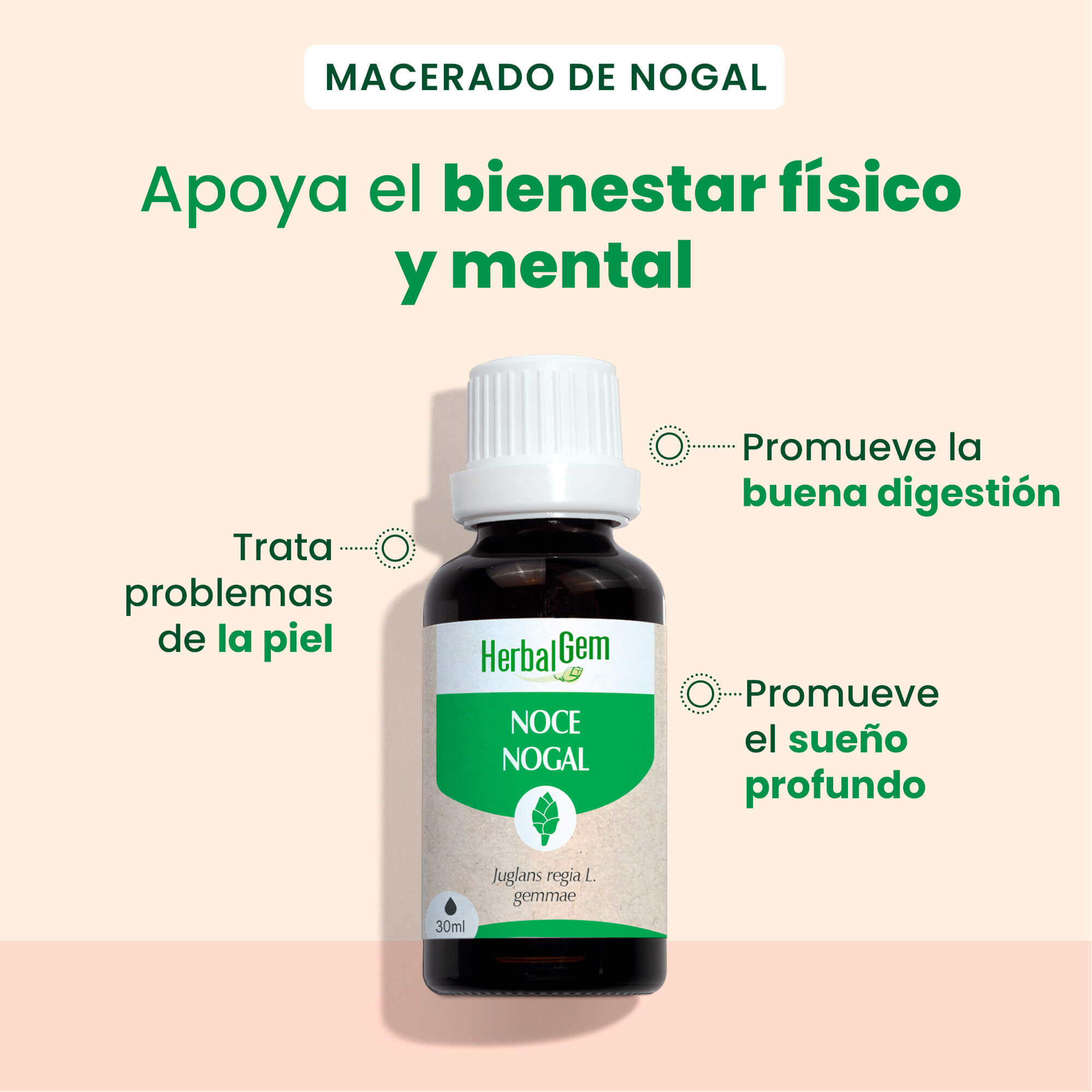 350203-nogal-bio-herbalgem-30ml-es24-5407008640965-02.jpg