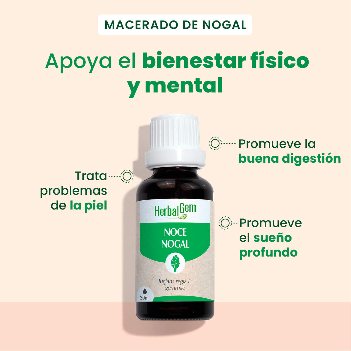 350203-nogal-bio-herbalgem-30ml-es24-5407008640965-02.jpg