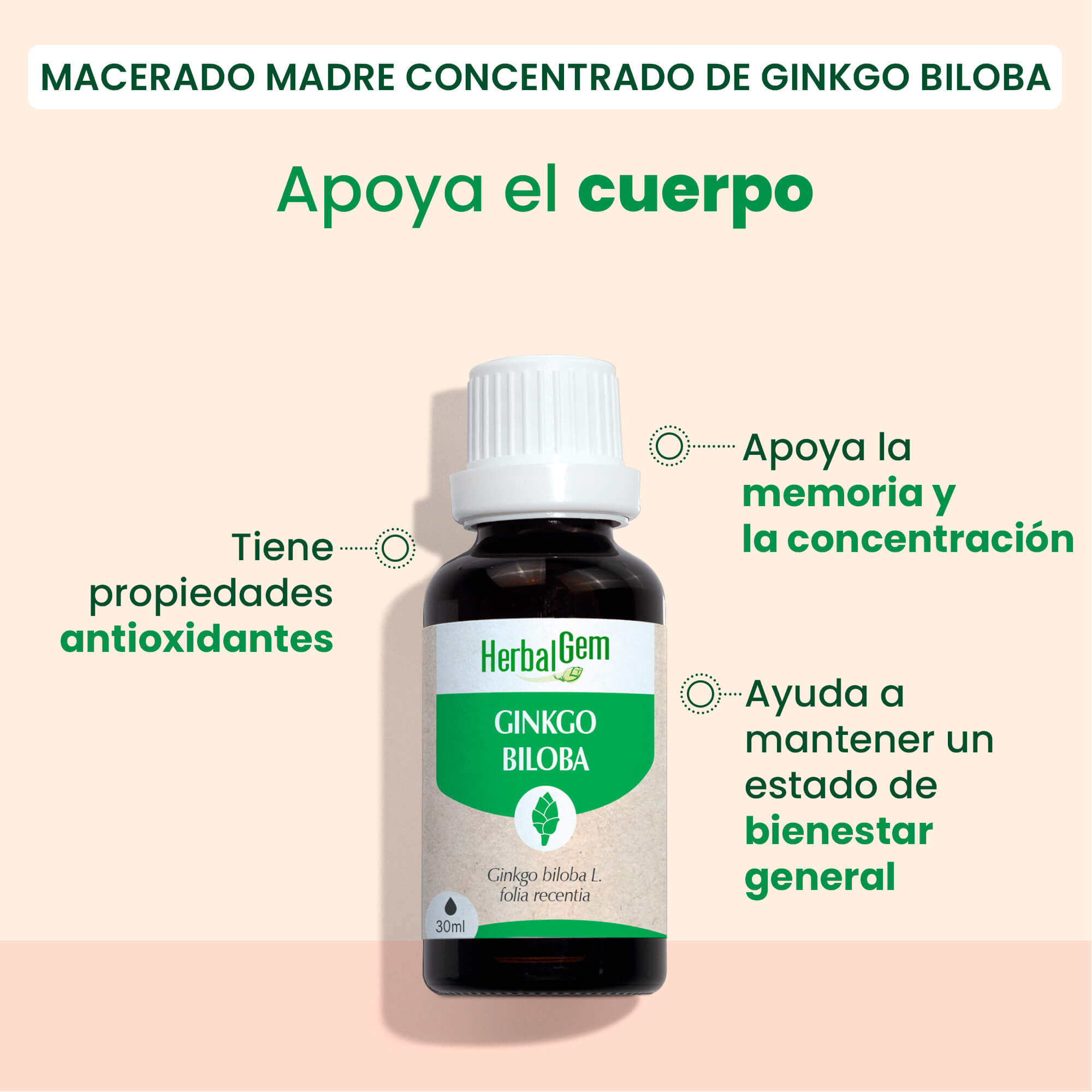 350613-ginkgo-bio-herbalgem-30ml-es24-5407008640927-02.jpg
