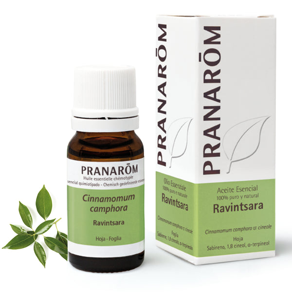 545-ae-esit20-ravintsara-10ml-pranarom-01.jpg