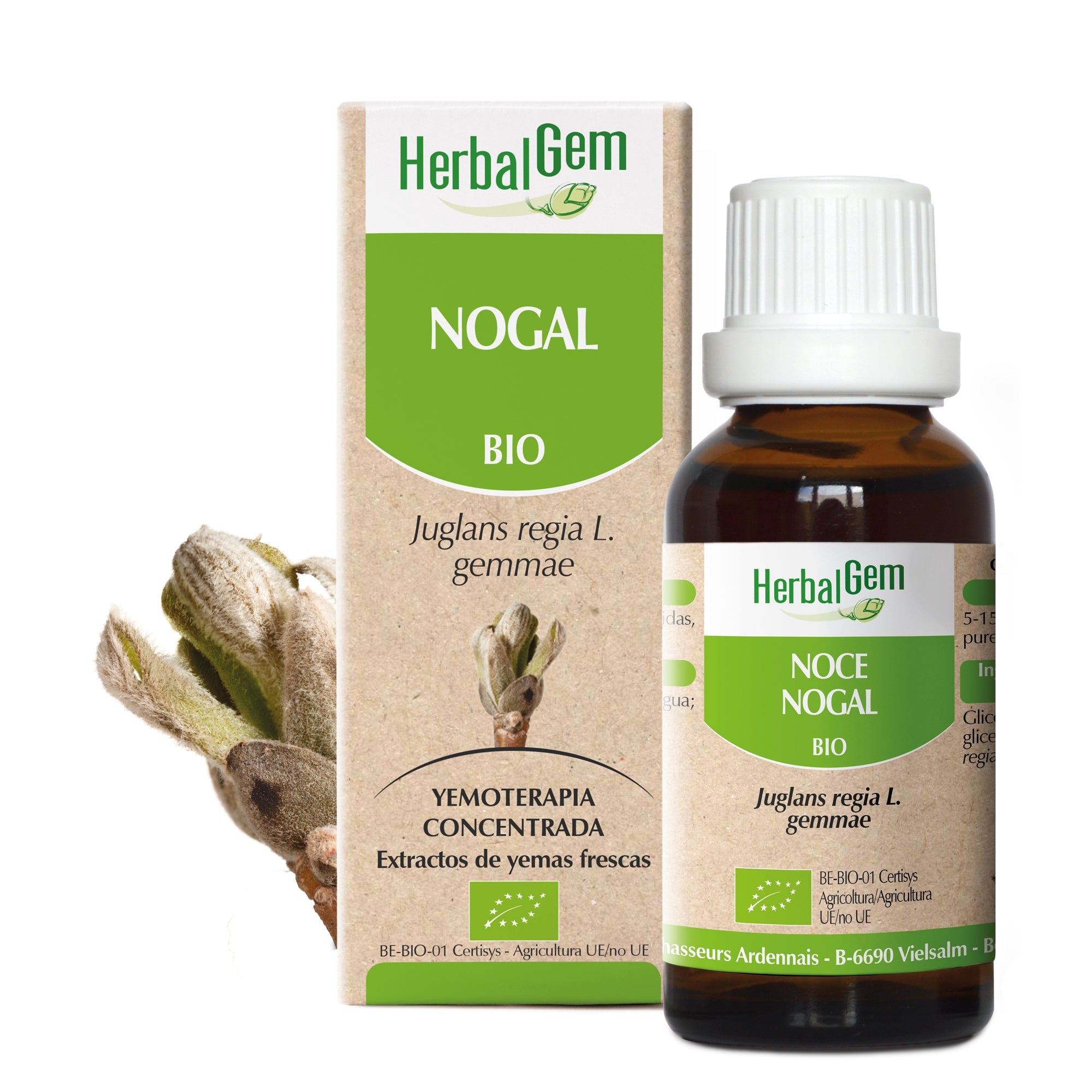 NOGAL - Bio