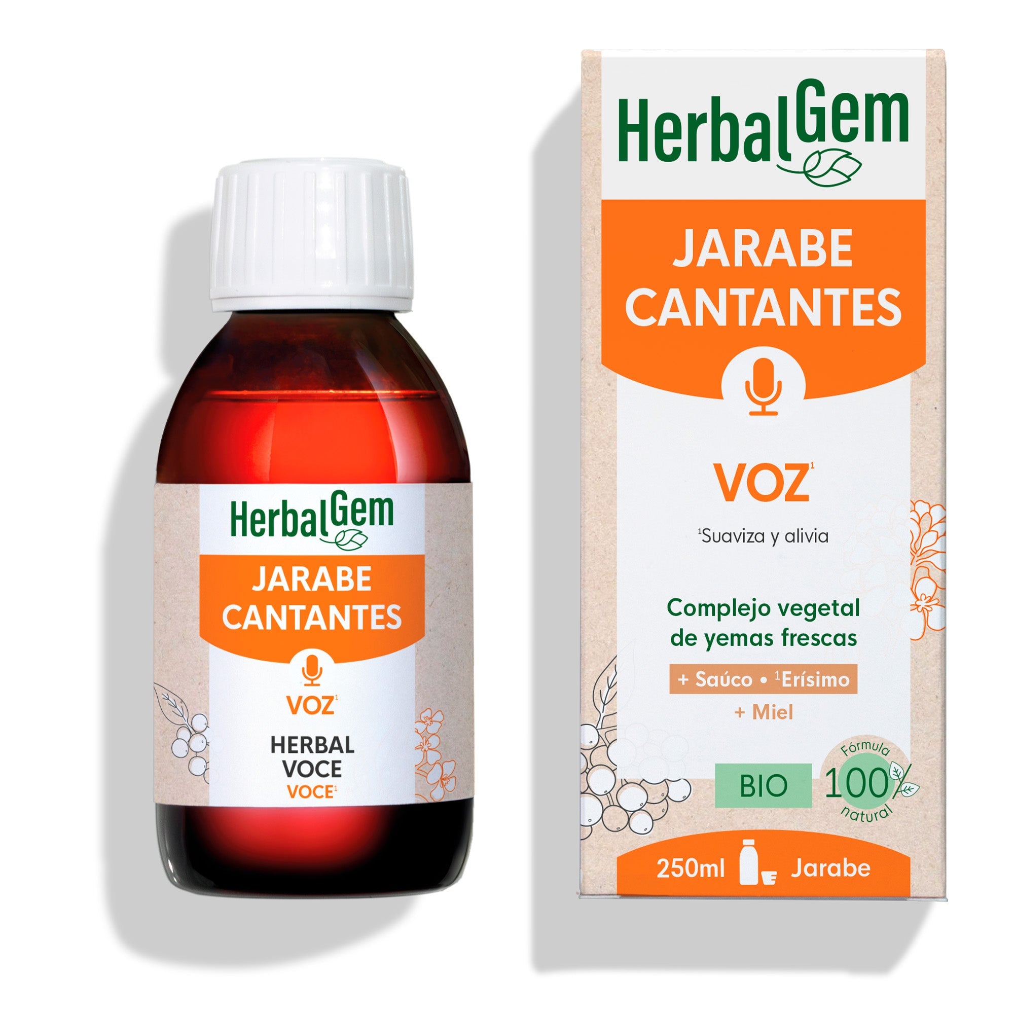 Jarabe Cantantes Voz - Bio