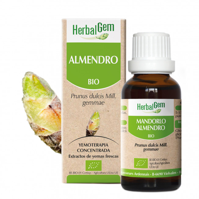 ALMENDRO - 15 ml | Herbalgem
