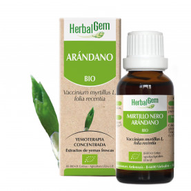 ARÁNDANO - 15 ml | Herbalgem