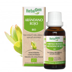 ARÁNDANO ROJO - 15 ml | Herbalgem