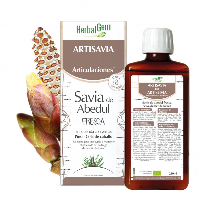 ARTISAVIA - 250 ml | Herbalgem