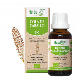 COLA DE CABALLO - 15 ml | Herbalgem