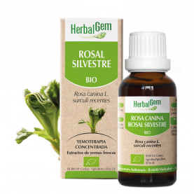 ROSAL SILVESTRE - 15 ml | Herbalgem