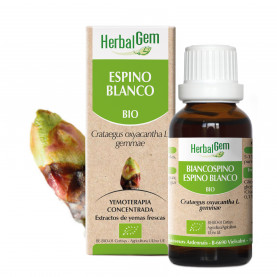 ESPINO BLANCO - 15 ml | Herbalgem