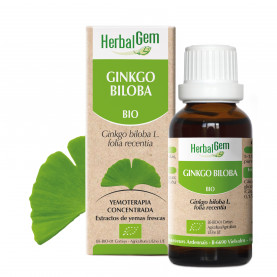 GINKGO - 15 ml | Herbalgem