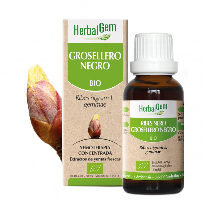 GROSELLERO NEGRO - 15 ml | Herbalgem