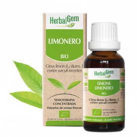 LIMONERO - 15 ml | Herbalgem