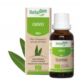 OLIVO - 15 ml | Herbalgem