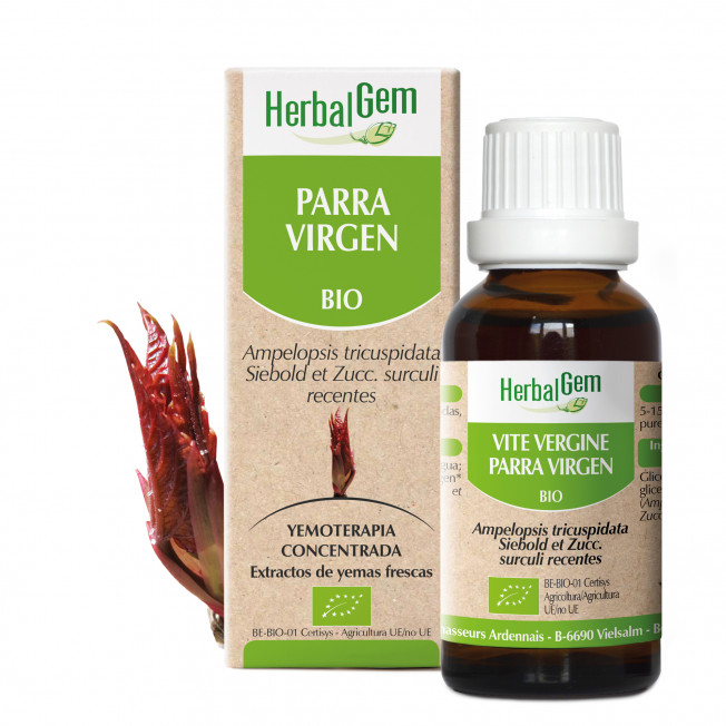 PARRA VIRGEN - 15 ml | Herbalgem