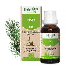 PINO - 15 ml | Herbalgem
