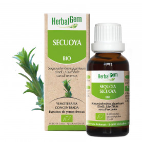 SEQUOIA - 15 ml | Herbalgem