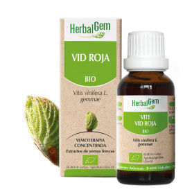 VID ROJA - 15 ml | Herbalgem