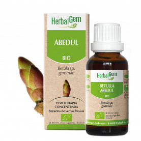 ABEDUL - 50 ml | Herbalgem