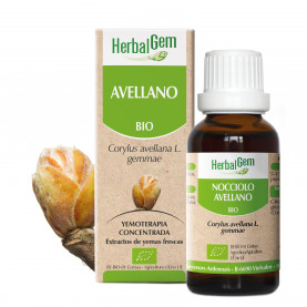 AVELLANO - 50 ml | Herbalgem