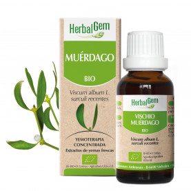 MUÉRDAGO - 50 ml | Herbalgem