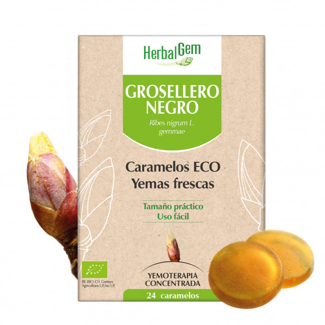 GROSELLERO NEGRO - 24 caramelos | Herbalgem