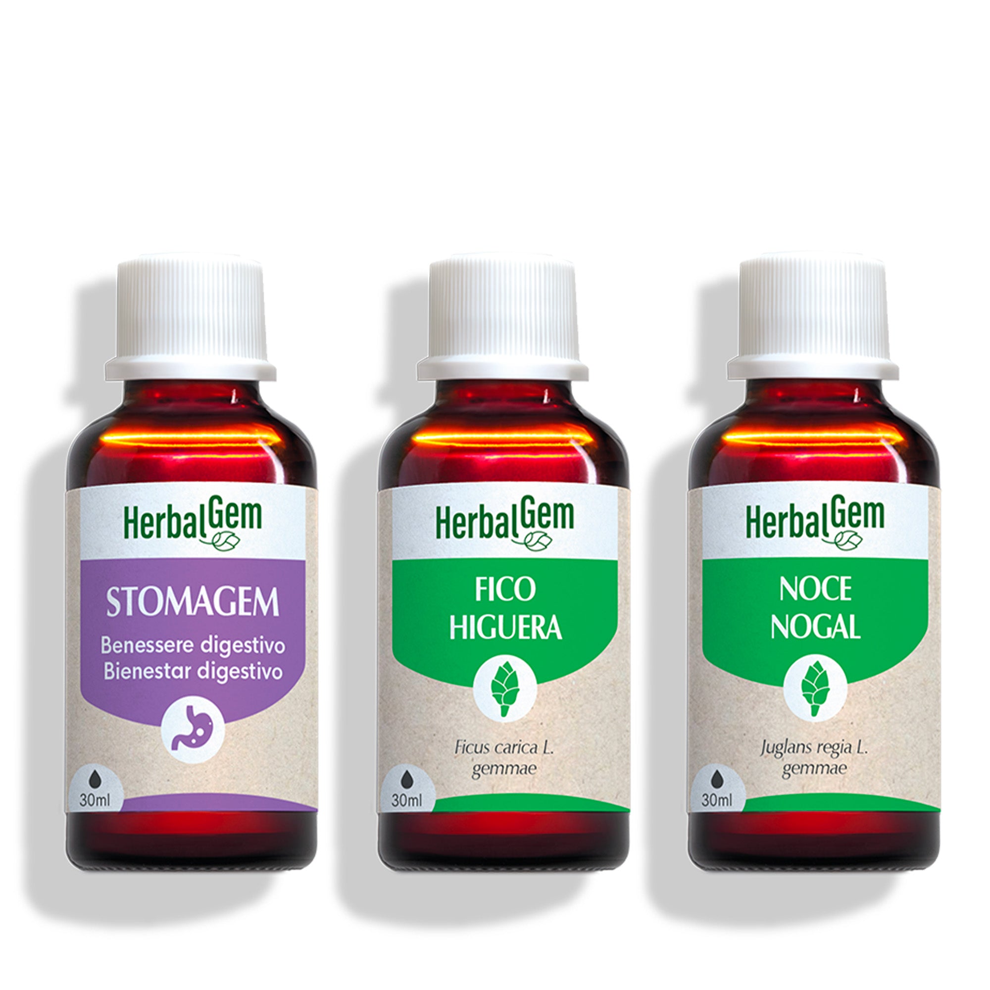 Trío indispensable para una mejor comprensión