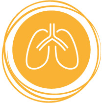 HerbalGem - Campos de aplicación respiración